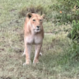 Meet your Posher, Susie